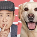 Un acteur légendaire et un chien détective : le duo improbable du nouveau sitcom coréen