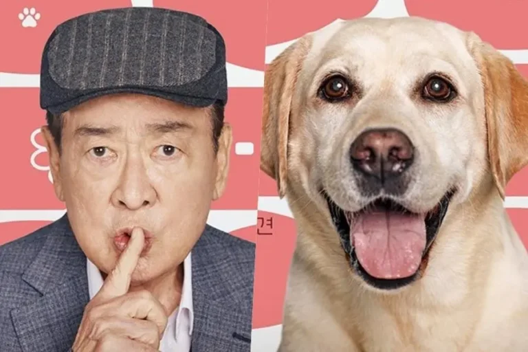 Un acteur légendaire et un chien détective : le duo improbable du nouveau sitcom coréen